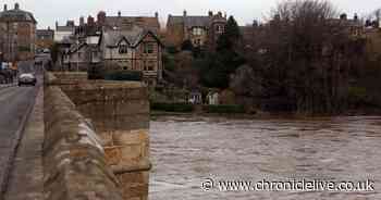See swollen River Tyne as it threatens to flood in Northumberland during Storm Dennis warnings