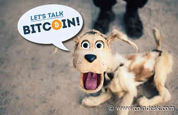 Mainstream Moments and the CompuServe of Crypto, Feat. Andreas M. Antonopoulos