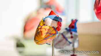 Study finds concerning link between air pollution and heart attacks