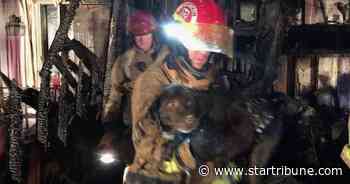Firefighters rescue 3 dogs from house fire in Forest Lake
