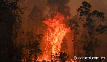 Sin control amanece un incendio forestal entre Saboyá y Sutamarchán, Boyacá - Caracol Radio