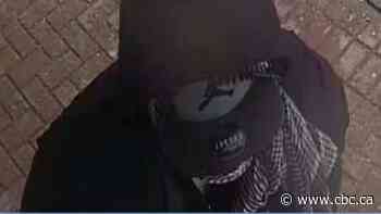 Police seek to identify man after woman, 87, robbed in apartment building lobby