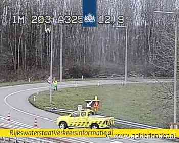 Boom op overgang A15 naar A325 bij Nijmegen; weg afgesloten