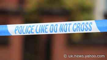 Two arrested on suspicion of attempted murder after stabbing in east London