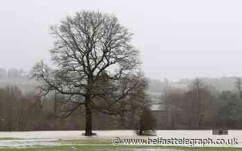 Thousands of properties left without power after stormy weather