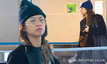 Zendaya tries to fly under the radar as she hustles through JFK airport in a low-key look