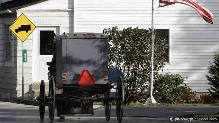 Bill In Ohio Would Require Flashing Lights On Amish Buggies