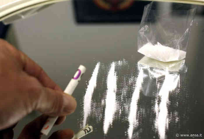 Droga: arrestato con 8,5 kg di cocaina a Vipiteno - Agenzia ANSA