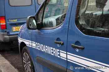 Lizy-sur-Ourcq : les gendarmes empêchent la tenue d'une free party - Le Parisien
