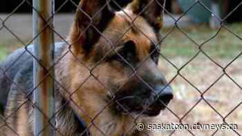 K9 team tracks duo, leads to arrests after break-ins