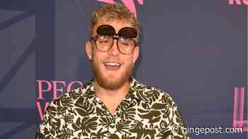 YouTuber Jake Paul Launches Entrepreneur How-To Platform, Monetary Freedom Motion - BingePost