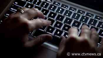 How to protect your personal information online during tax season