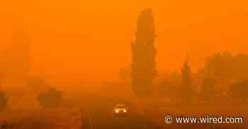 The Hottest New Literary Genre Is ‘Doomer Lit’