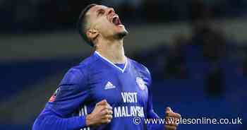 Why Cardiff City's Robert Glatzel isn't playing and the transfer chase which must have puzzled him