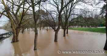 The mess left by Storm Dennis in Cardiff Bay and Bute Park