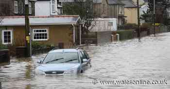 The weather forecast for where you are as Wales prepares for entire week of rain