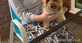 High-flying lawyer's 'jetlag' turned out to be leukaemia - but she 'wouldn't undo' her tragic diagnosis