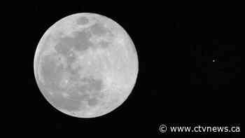 You might be able to see Mars disappear behind the moon this week