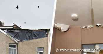 'Storm Ciara blew the roof off my house and Storm Dennis drenched it with water'