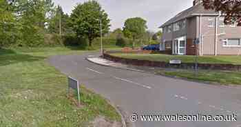 Woman, 58, allegedly stabbed in daylight attack in Cardiff