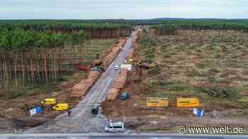 Trotz Rodungsstopp – mit Tesla will es sich niemand verscherzen