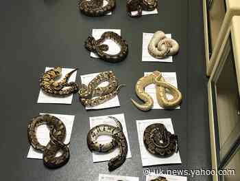 Mystery as second bag of snakes dumped outside Sunderland fire station
