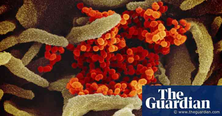 Coronavirus causes mild disease in four in five patients, says WHO