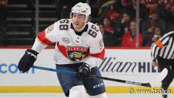Florida Panthers forward Mike Hoffman remains perfect fit for Edmonton Oilers - TSN