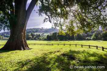 6-year-old girl attacked by mountain lion