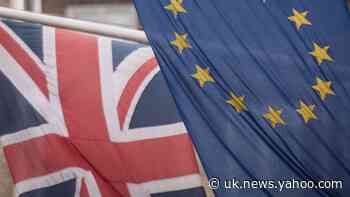 UK must be able to set own laws, chief Brexit negotiator insists