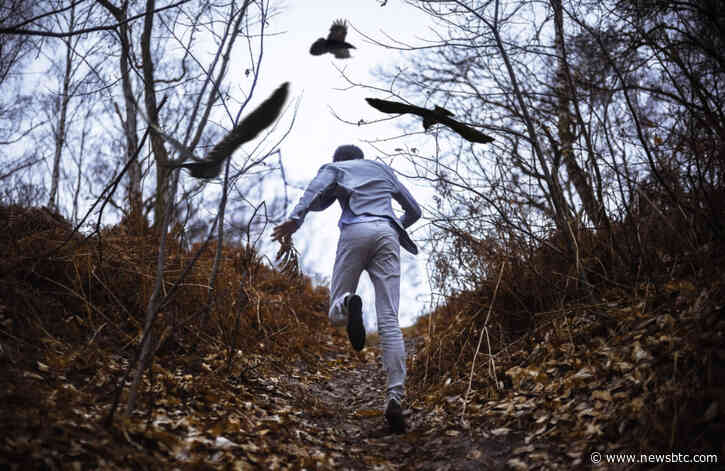 Why is This $400K Bitcoin Mega-Bull Running Scared of Peter Schiff?