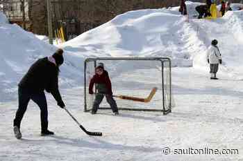 Gallery: Saultites Celebrate Family Day