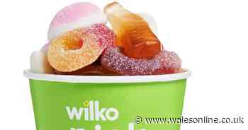 Wilko brings back half price Pick 'n' Mix and savvy shopper shares tip to save even more