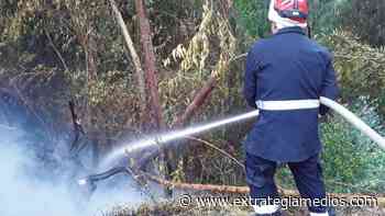 Se presenta incendio forestal en la Vía La Milagrosa, en Zipaquirá - Extrategia Medios