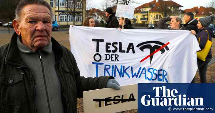 German court orders Tesla to stop felling trees for Gigafactory