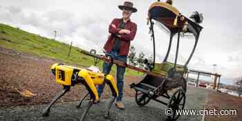Watch a Boston Dynamics robot dog pull a rickshaw     - CNET