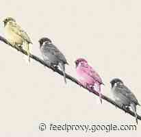 Why The Business Case For Diversity Doesn’t Work