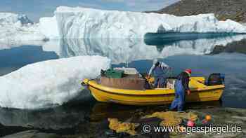 Neues Geschäftsmodell dank Klimawandel: Grönland will Schmelzwasser an kommerzielle Unternehmen verkaufen - Tagesspiegel