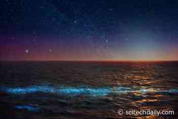 Can Seeding Earth’s Oceans With Iron on a Global Scale Solve Climate Change?