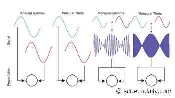 Listening to Binaural Beats Synchronizes Brain Activity, but What Is the Effect on Mood, Focus and Anxiety?