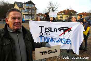 Tesla ordered by German court to stop cutting down trees for Gigafactory