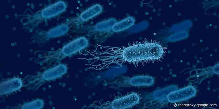 New artificial evolution research could finally prove Darwin was right