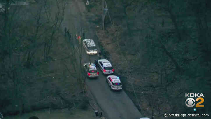 2 Suspects Identified After Jitney Driver Reports Being Robbed At Gunpoint