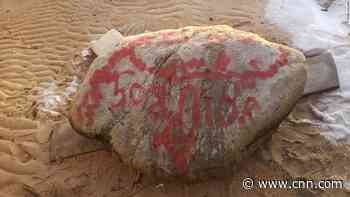 Iconic landmark Plymouth Rock vandalized