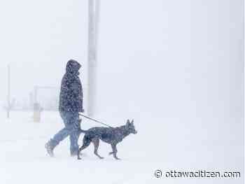 Winter weather travel advisory: 5-10 cm of snow, (freezing) drizzle or rain