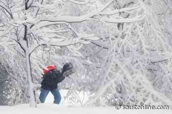 Snowfall Warning and Snow Squall Watch For Sault Ste. Marie