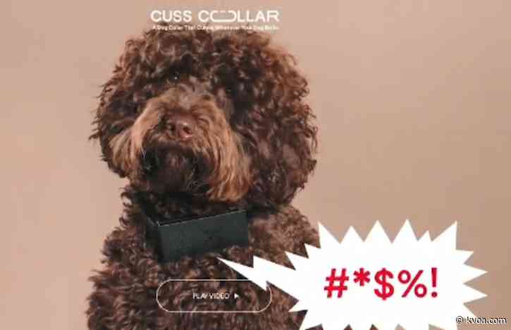 New dog collar will translate your dog’s bark into swear words