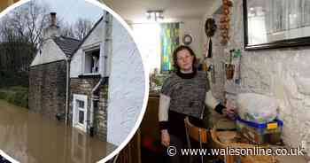 Family rescued from flooded house in Nantgarw through upstairs window after waiting seven hours