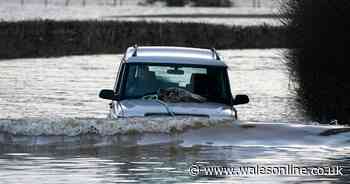 Storm Ellen will be next to hit UK after Ciara and Dennis cause trouble, Met Office confirms