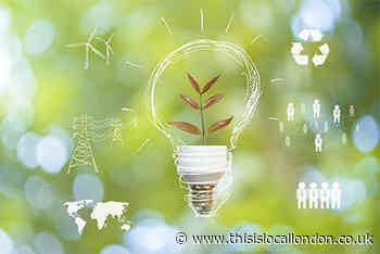 Free environment workshop to help educate Richmond businesses about climate change